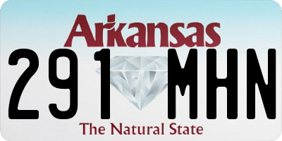 AR license plate 291MHN