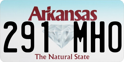 AR license plate 291MHO