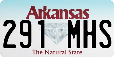 AR license plate 291MHS