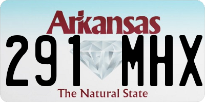 AR license plate 291MHX