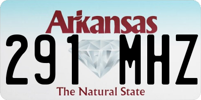 AR license plate 291MHZ