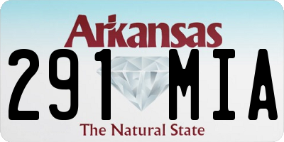 AR license plate 291MIA