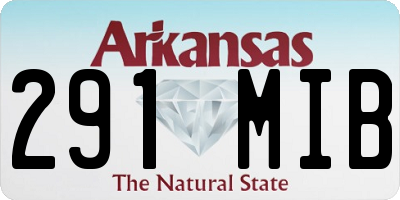AR license plate 291MIB