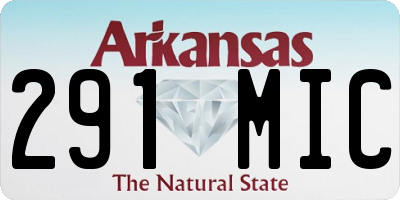 AR license plate 291MIC