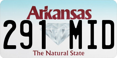 AR license plate 291MID