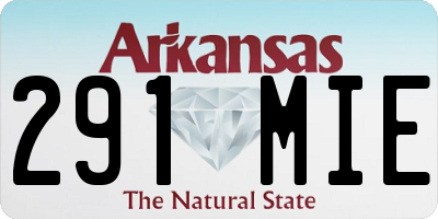 AR license plate 291MIE