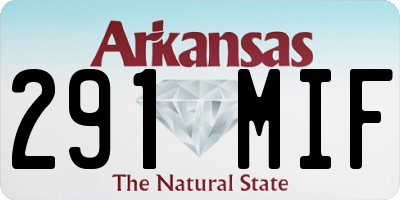 AR license plate 291MIF