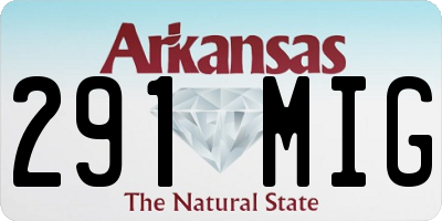 AR license plate 291MIG