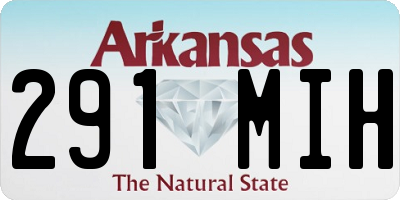 AR license plate 291MIH