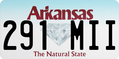 AR license plate 291MII