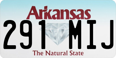 AR license plate 291MIJ