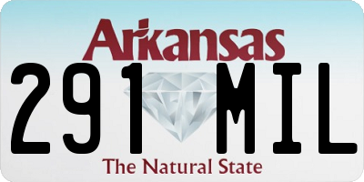 AR license plate 291MIL