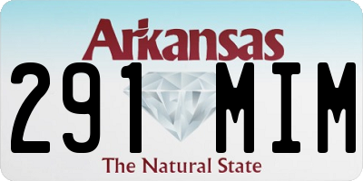 AR license plate 291MIM