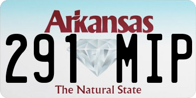 AR license plate 291MIP