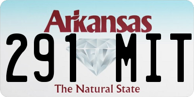 AR license plate 291MIT