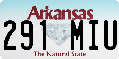 AR license plate 291MIU