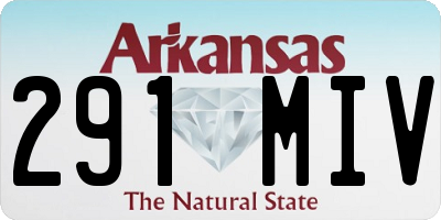 AR license plate 291MIV