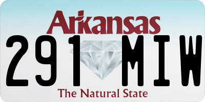 AR license plate 291MIW