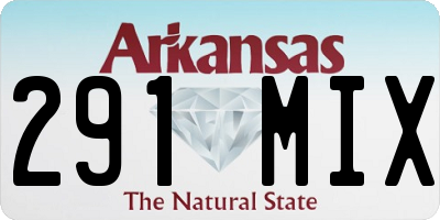 AR license plate 291MIX