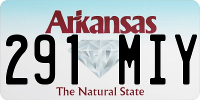 AR license plate 291MIY