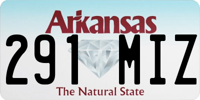 AR license plate 291MIZ