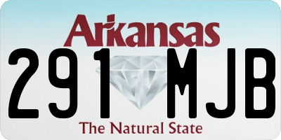 AR license plate 291MJB