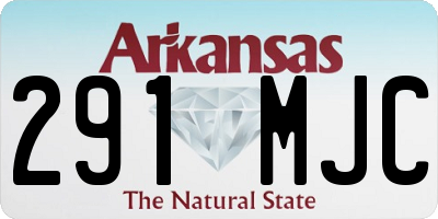 AR license plate 291MJC