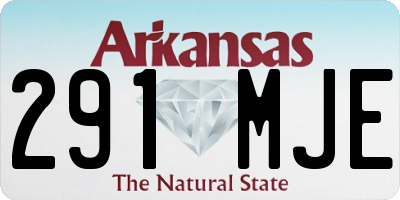 AR license plate 291MJE