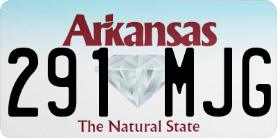 AR license plate 291MJG
