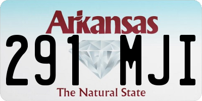 AR license plate 291MJI