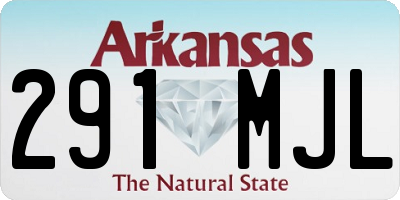 AR license plate 291MJL