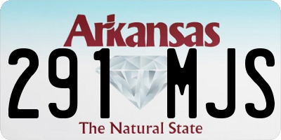 AR license plate 291MJS