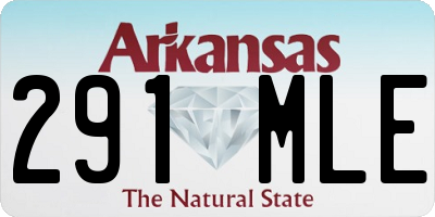 AR license plate 291MLE