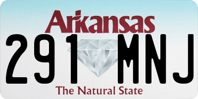 AR license plate 291MNJ