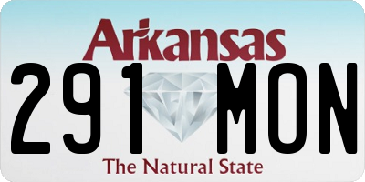 AR license plate 291MON