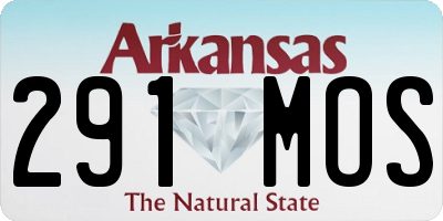 AR license plate 291MOS