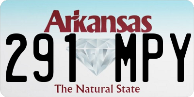 AR license plate 291MPY