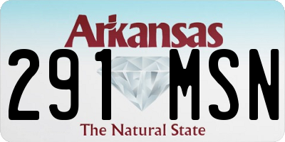 AR license plate 291MSN