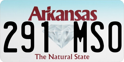 AR license plate 291MSO