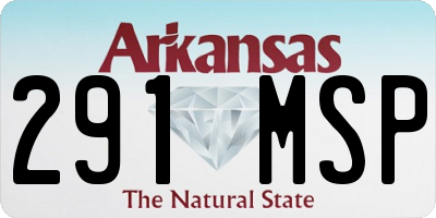 AR license plate 291MSP