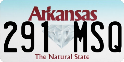 AR license plate 291MSQ
