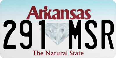 AR license plate 291MSR