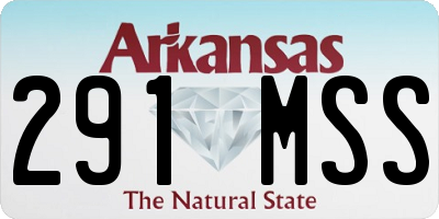 AR license plate 291MSS