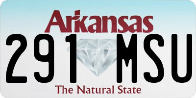 AR license plate 291MSU