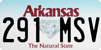 AR license plate 291MSV
