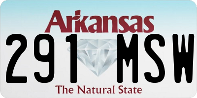 AR license plate 291MSW