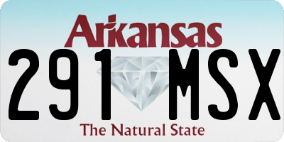 AR license plate 291MSX