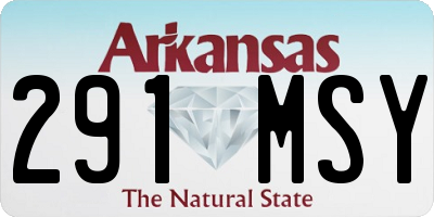 AR license plate 291MSY