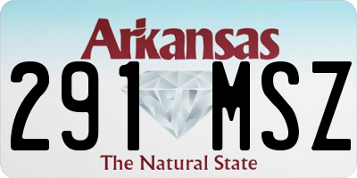 AR license plate 291MSZ