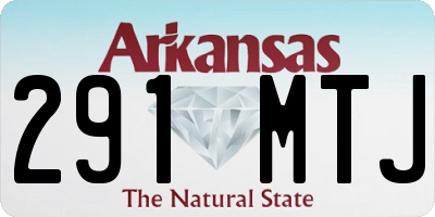 AR license plate 291MTJ